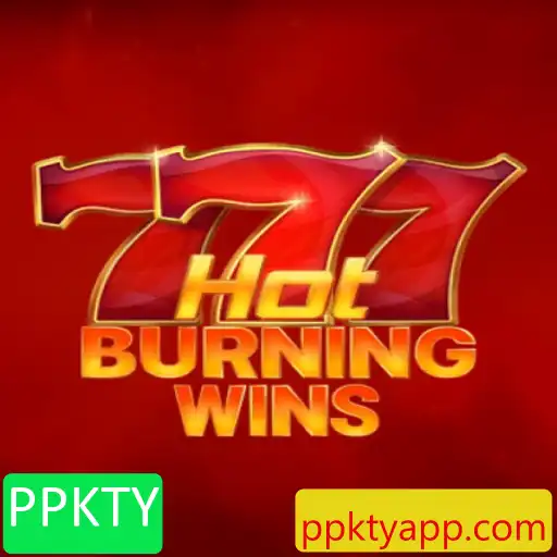 Explorando o Jogo HotBurningWins: Uma Experiência de Entretenimento Intensa